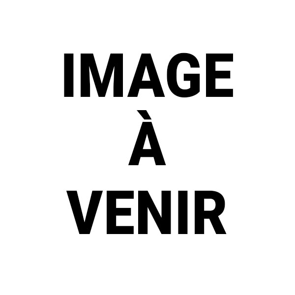 Image-a-venir-pagode