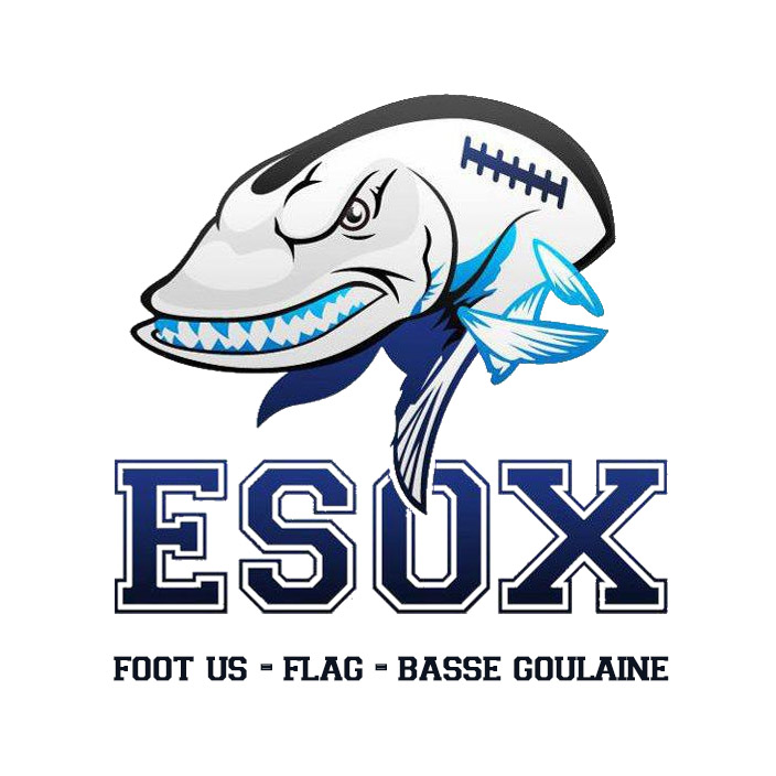Esox1-new--0-0--4c465693-3b20-49ef-b0b1-c45493654821