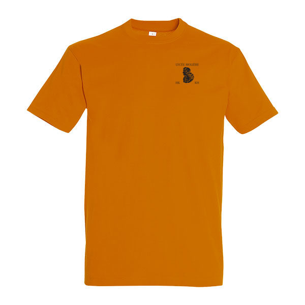 D01_11500_orange--0-0--706b91ac-faa6-4a48-a4a3-5cbf7626ce09
