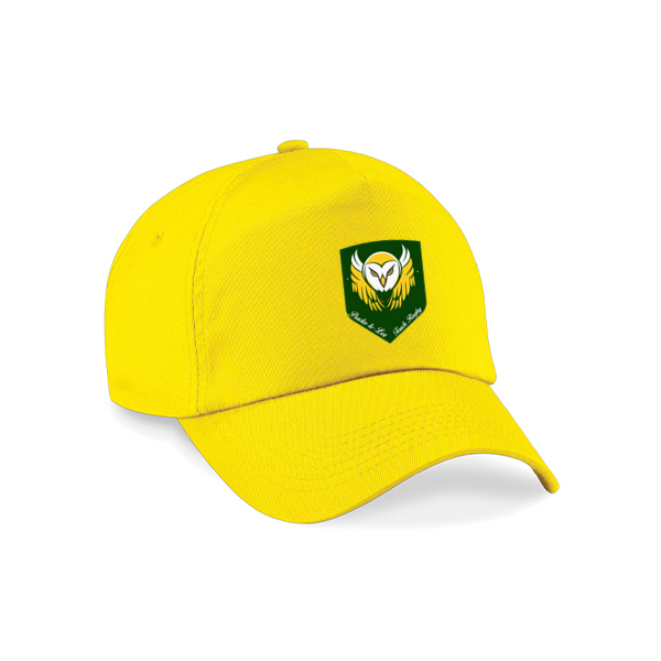 D01_bc010_yellow--0-0--da102b77-2267-46a3-8da1-6d1e9bdfac43